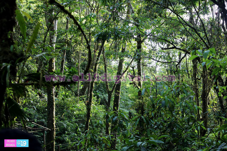 cascada-la-bujona